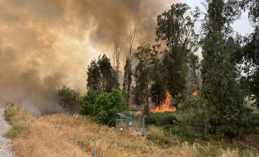 שריפה בכביש 6 צילום: כבאות והצלה